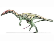 Syntarsus