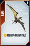 Rhamphorhynchus