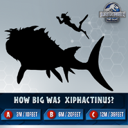 Xiphactinus Size Trivia