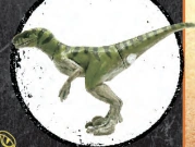 CT Captivz tiger.png (45 KB) Tiger