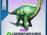 Labyrinthosaurus