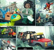 Images of revealed sets.