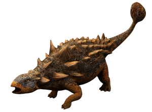 Euoplocephalus JWA.png