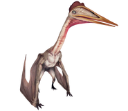 Hatzegopteryx-render-10.webp (109 KB)