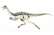 Archaeornithomimus