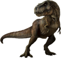 Rex png