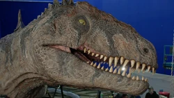 Хотелось бы узнать, откуда у него эти шрамы