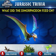 Dimorphodon Trivia