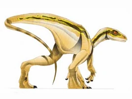 JPI Pisanosaurus