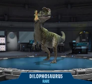 ДилоJWA.png (120 КБ)