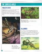 106476156 3231804520211564 406950141435710630 n.jpg (782 KB)