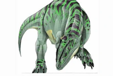 魚竜 全身骨格 ミクソサウルス Mixosaurus 化石 - アンティーク 