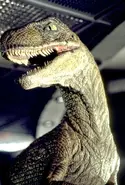 Jurassic-park-raptor.webp (62 kio)