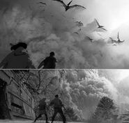 Jwfk 36752725 966215753587271 5550053445374836736 n.jpg (63 kB)