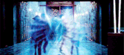 Tumblr nrecgvq4Li1trsn9io1 250.gif