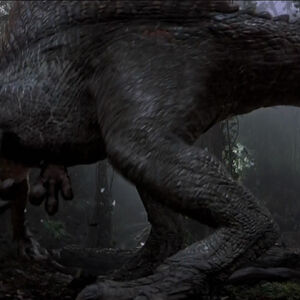 Spinosaurus Vs T Rex Scene Jurassic Park Wiki Fandom Spinosaurus Vs T Rex Scene Jurassic Park Wiki Fandom