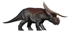 Nasutoceratops