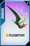 Pelecanipteryx