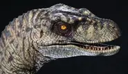 Velociraptor-jp2.webp (36 kio)