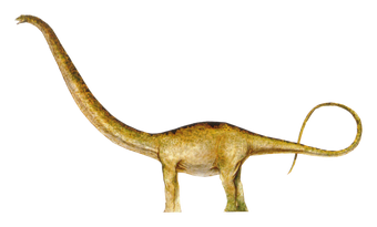 マメンチサウルス ジュラシック パーク Wiki Fandom