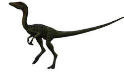 Compsognathus render