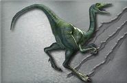 Compsognathus