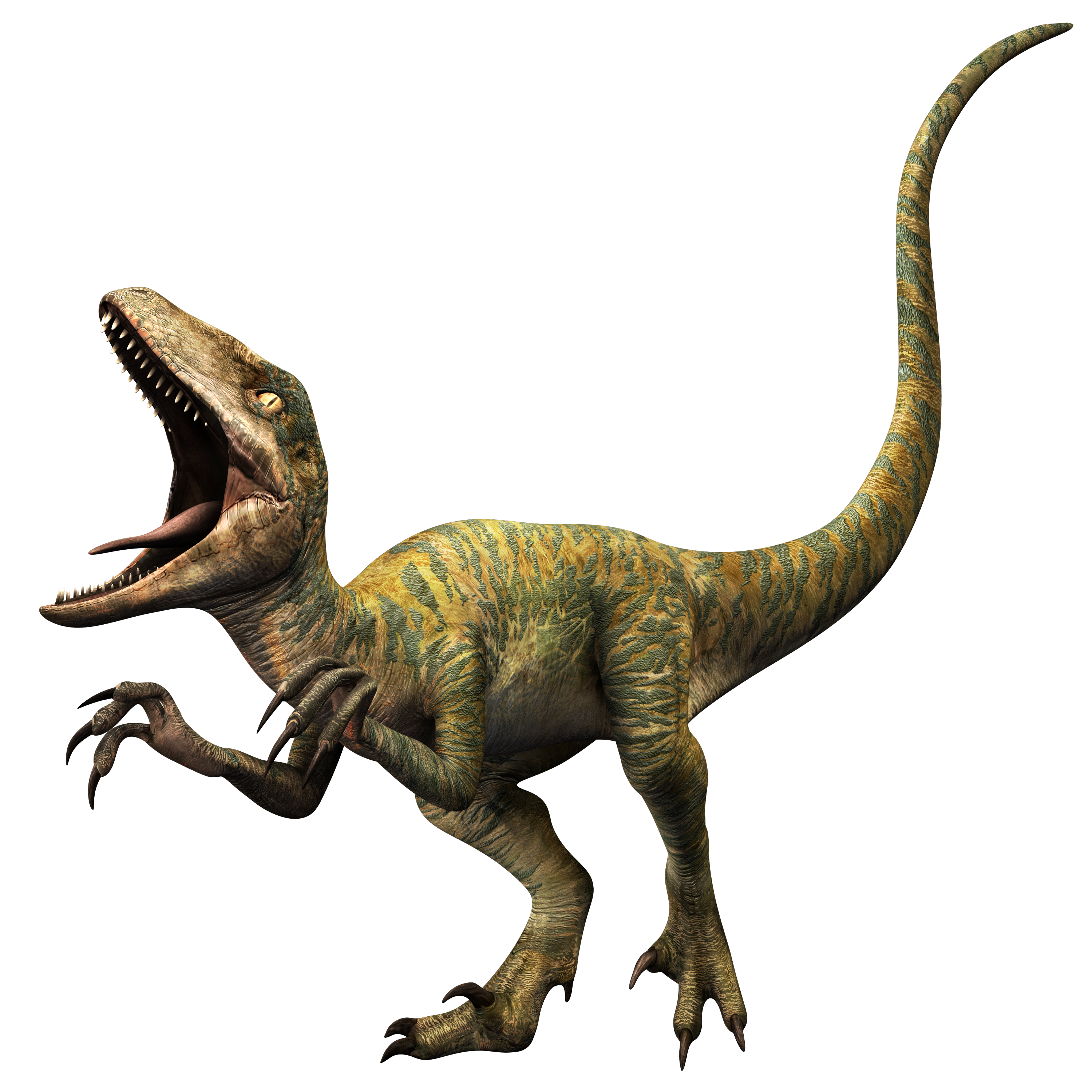 Jurassic wiki. Парк Юрского периода Велоцираптор Дельта. Мир Юрского периода Велоцираптор Эхо. Мир Юрского периода велоцераптар Эхо. Тероподы Юрского периода.