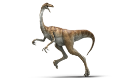 Gallimimus