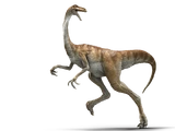 Gallimimus