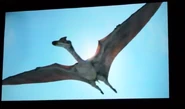 Quetzalcoatlus