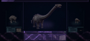 Ankylodocus jwe