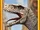 Atrociraptor/Jeux