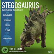 Stegosaurus DPG.jpg (98 kio)