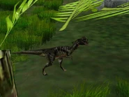 Cba76f09f3ad4259c57bf59829542a9d.jpg (86 КБ)