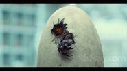 Indominus hatching