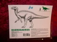 Hadrosaurus