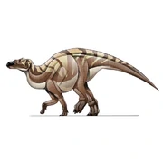 Anasazisaurus