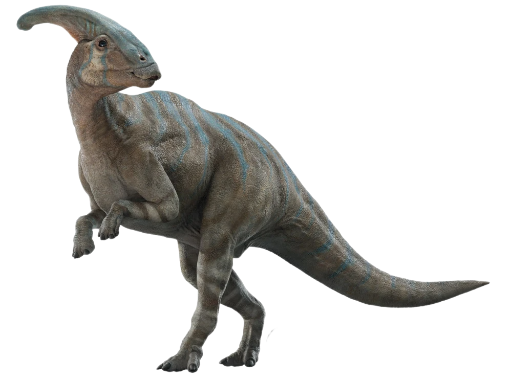 Parasaurolophus Jurassic Park Wiki Fandom