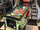 The Lost World: Jurassic Park (pinball)