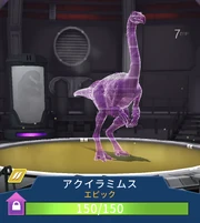 アクイラムス JWA