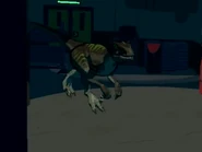 Velociraptor