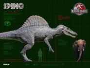 SPINO WP 1024