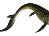 Mosasaurus
