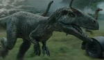 Un Allosaurus en fuite