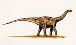 Apatosaurus-1