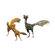 Oviraptor jwe3 database.webp (29 KB)