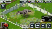 Level 5