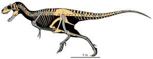 Reconstrucción del esqueleto de Teratopohoneus curriei