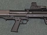 Kel-Tec KSG