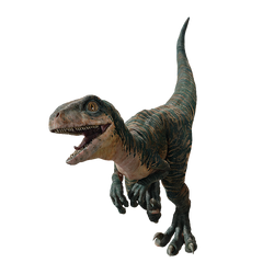 Jurassic World Velociraptor Echo Figure – ToysCentral - Europe